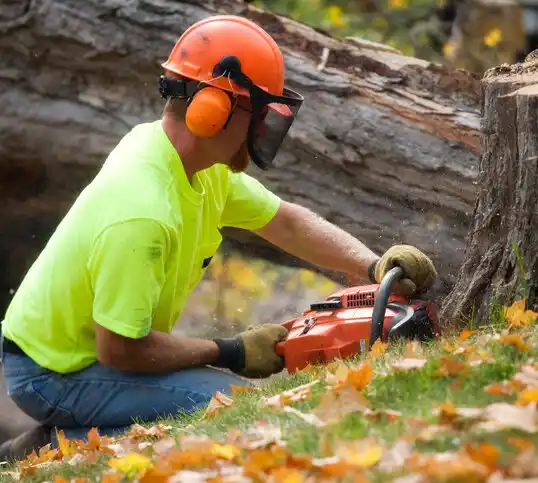 tree services Pleasantville